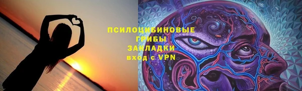 а пвп мука Абаза